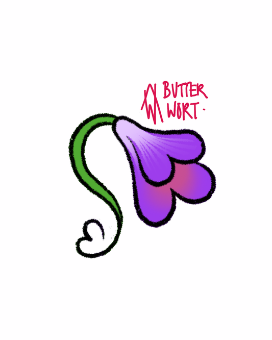 Butterwort
